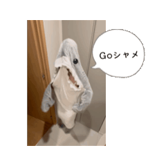 Shame2