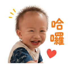 邱小弟-日常用語篇