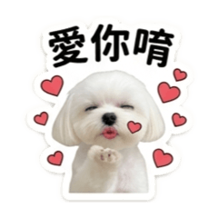 球球寶貝日常用語
