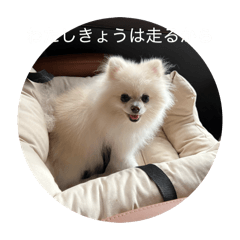Nakachan_20260531103312