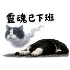 Liu Shin Tung_20260504131704