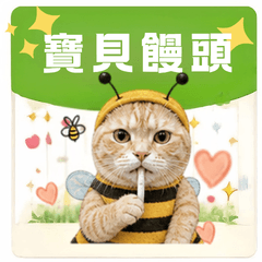Yuri orange cat Mantou