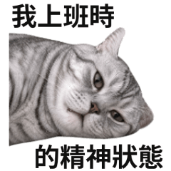 貓貓迷因♡我上班時的精神狀態