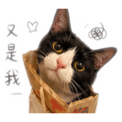 林錢錢^ ^