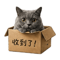 貓貓回覆機