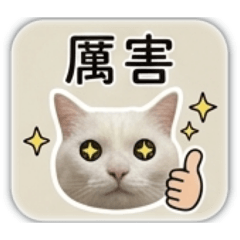 奔跑小天地2.0