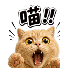 崩壞阿喵