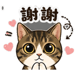 Home Meow Meow Sticker 24