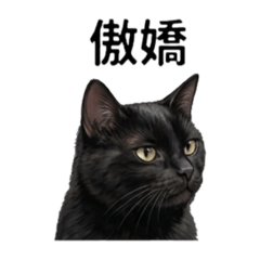 黏小貓