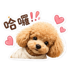 Wooni是隻泰迪熊 2