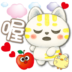 《番番喵真實用》★喔喔★
