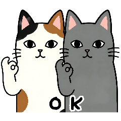 CATS(Reply)