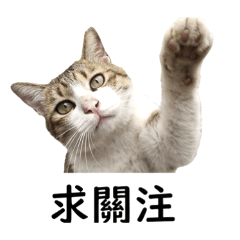 浪弟日常