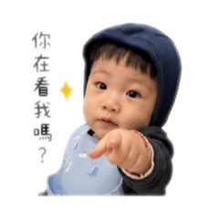 蔡昊江