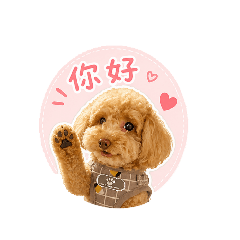 帶著Q寶到處玩貼圖