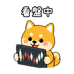 Stock Shiba Inu