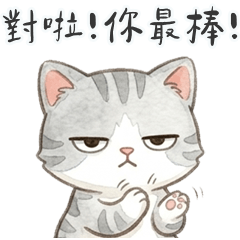 灰虎斑貓貓對啊對啊你最棒