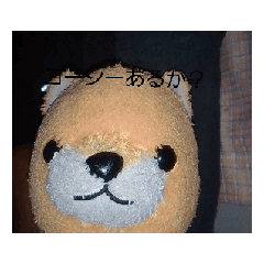 rei_20260531230816