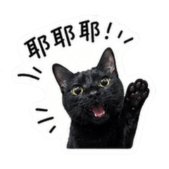 Pàng Pàng 說（貼紙版）