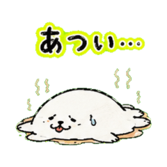 A Day of Seal in the Summer