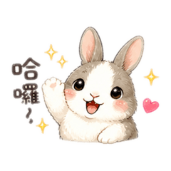 萌萌兔兔日常