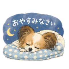 momo_04