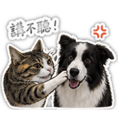Momo&公主