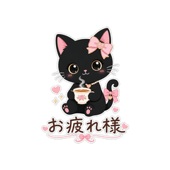 black cat2.3