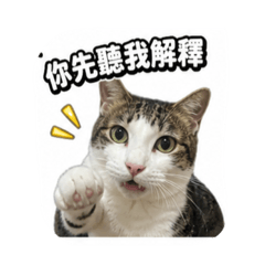 我是阿海