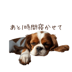 Cavalier Mood