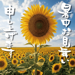 [Pop-Up Moving Summer Greetings]