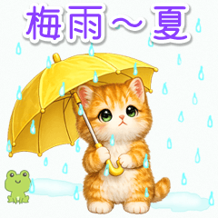 ちび猫みかん 梅雨～夏