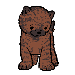 KAI-KEN with long faces and round faces