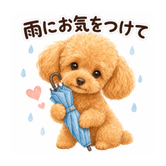 Polite Rainy Toy Poodle Stickers toiraic