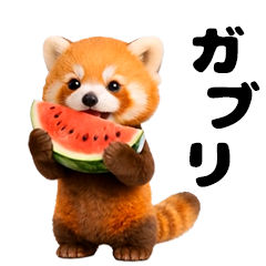 Moves! Red panda baby in summer