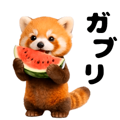 Moves! Red panda baby in summer