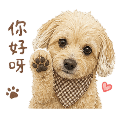 yuin4