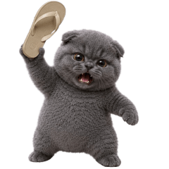 chubby grey cat !!! (No text)