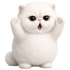 Low-Rider White Cat Legend! (No text)