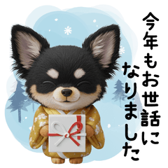 Chihuahua Snow cute