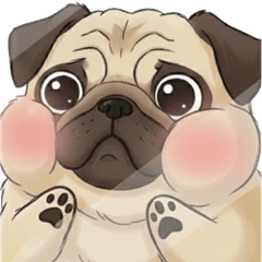 pug hamster friend