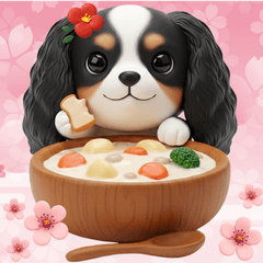 cyabaria dog
