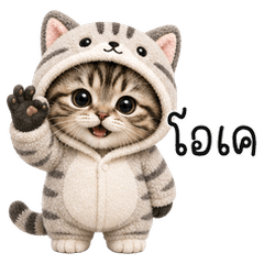 Cute Kitty Cat!