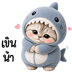 Chubby cute cat in Shark outfit
