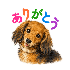 vivi_20260514215954