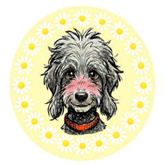 Daisy the Dog: Fluffy Days