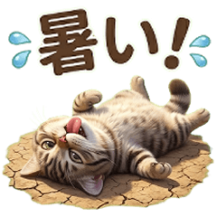 Too hot tabby cat