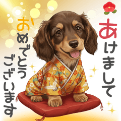 cute dog DAX happy