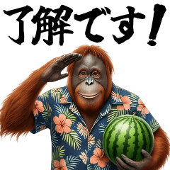 Emotional Orangutan Summer Vibes & Daily