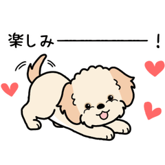 やさしいマルプー『感情多め』2